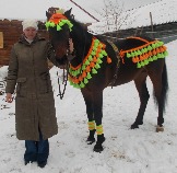 с Абреком, 2012 год, вязала украшения для лошадей, принимала заказы со всей России!